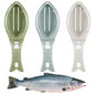 Fish Descaler Tool Blue White Green