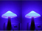 Mushroom Wall Socket Lamp